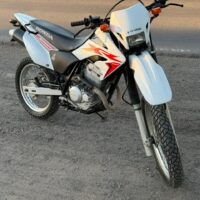 Honda Tornado 250 2019