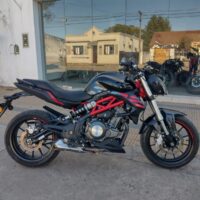 Benelli 302 2023